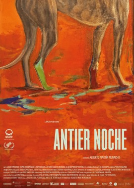 Antier noche film poster image