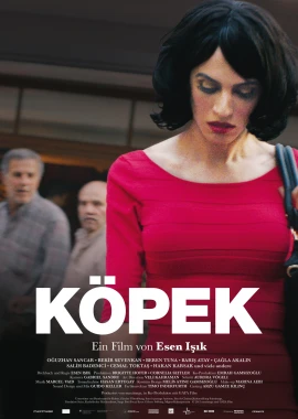 Köpek film poster image
