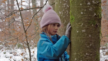 Von Kindern und Bäumen – Ein Jahr in der Waldschule film trailer button